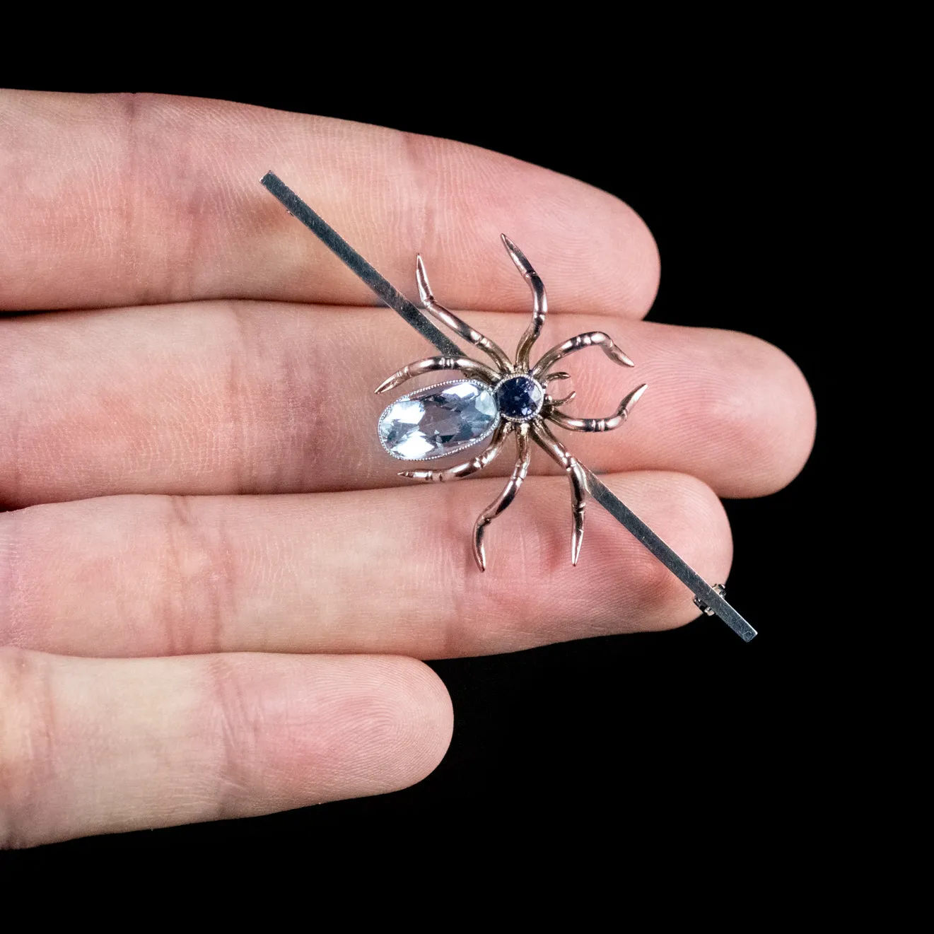 Antique Edwardian Spider Brooch Platinum Sapphire Aquamarine Scottish Boxed