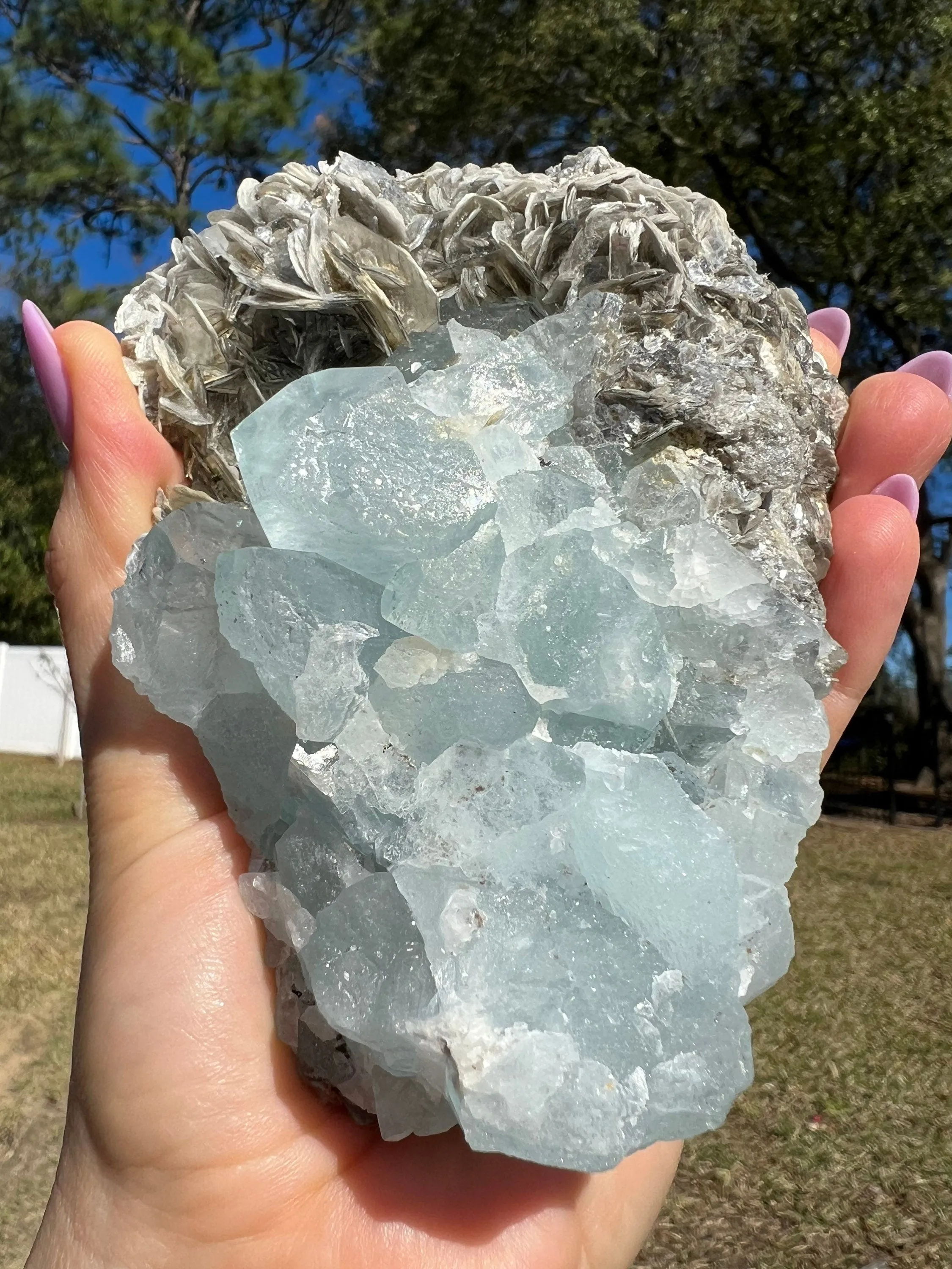 Aquamarine on muscovite 1pound 6oz