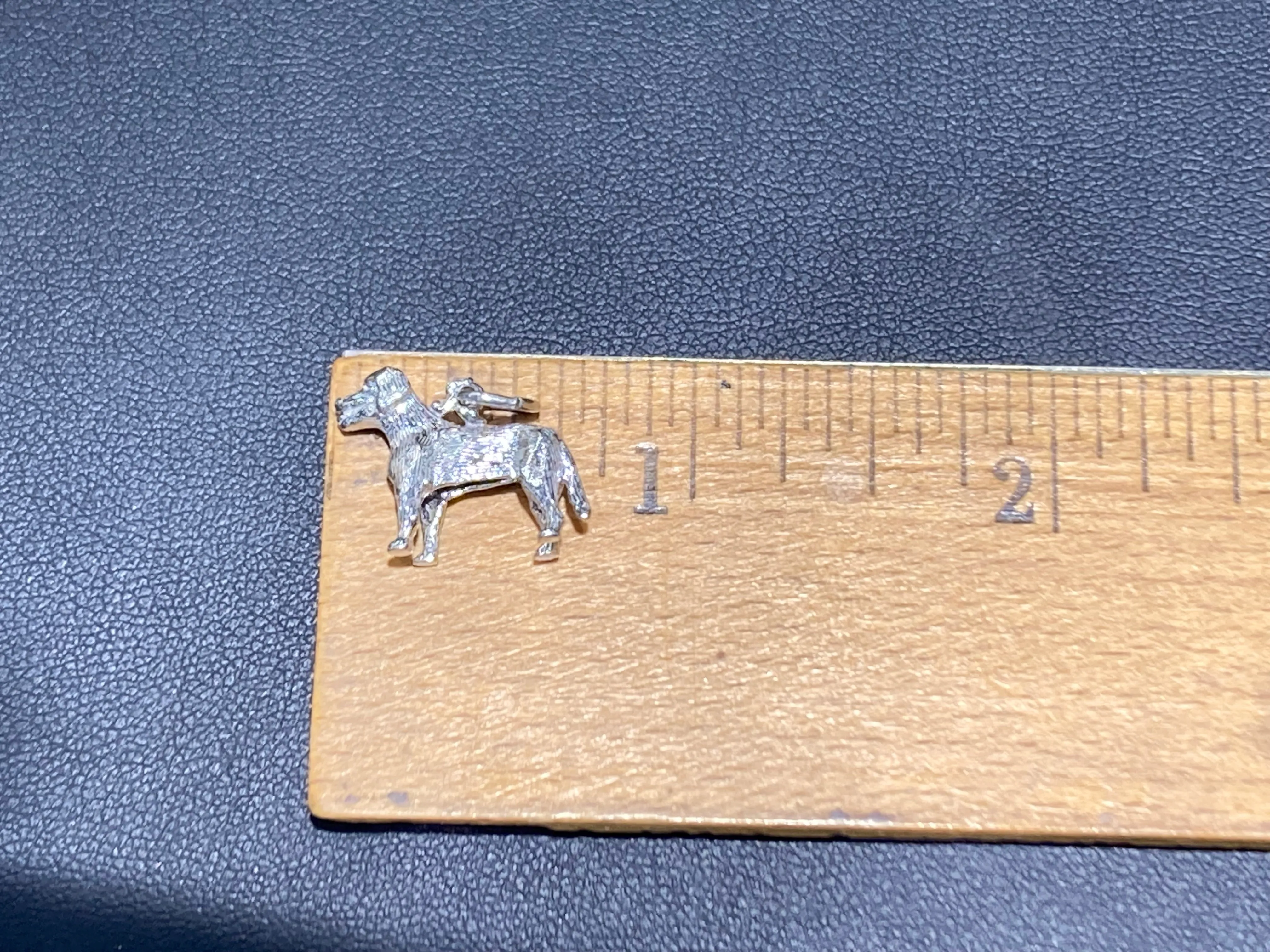 Labrador Retriever Silver Charm